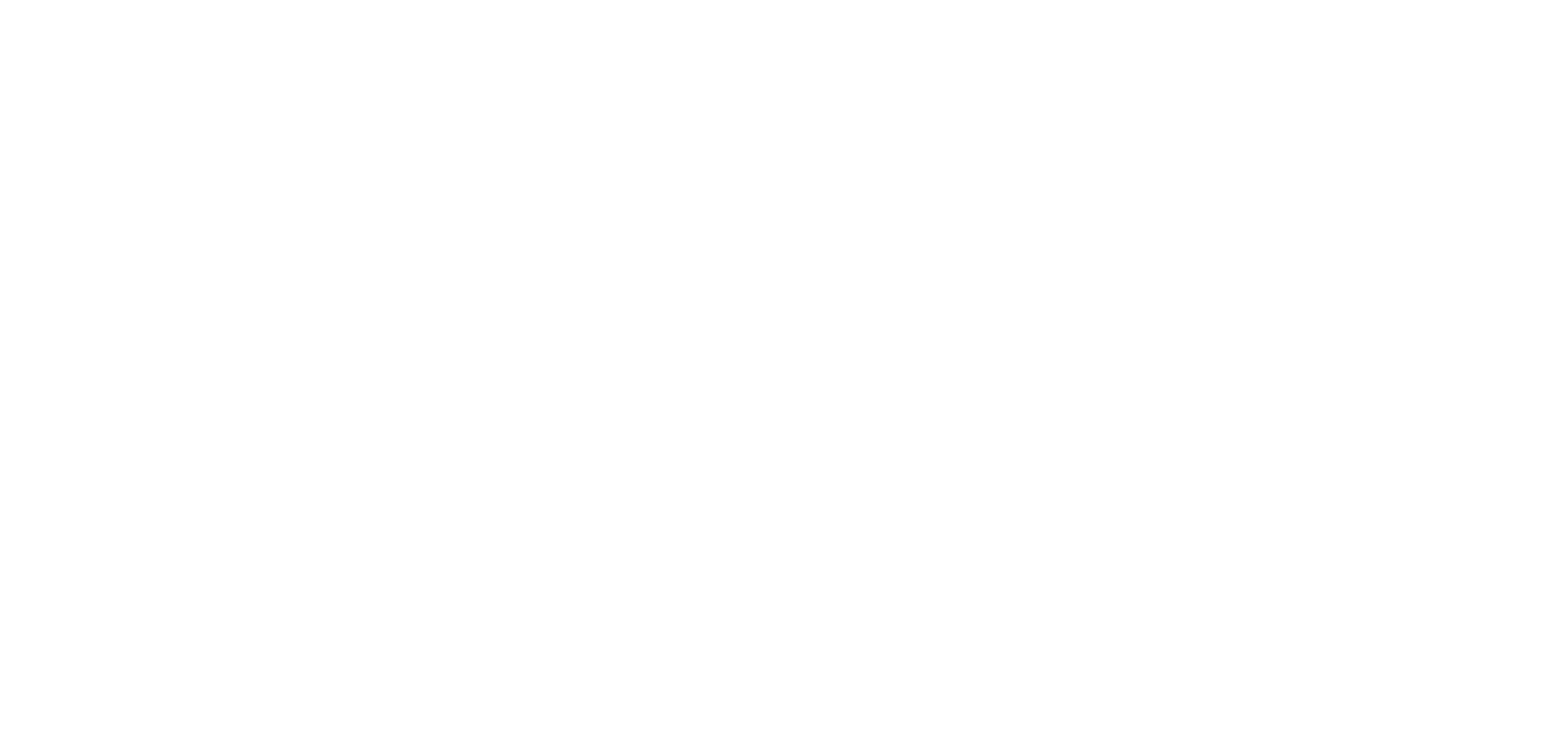 Adriana Serra Mansilla